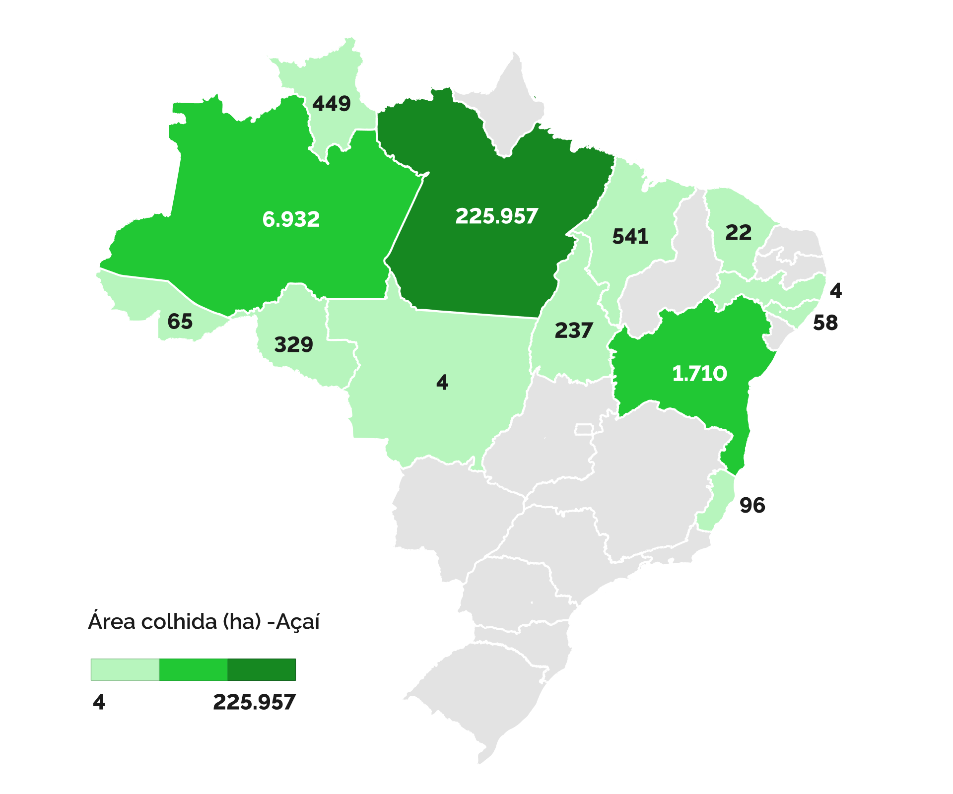 Área colhida (ha) de açaí proveniente de lavouras permanentes em 2023