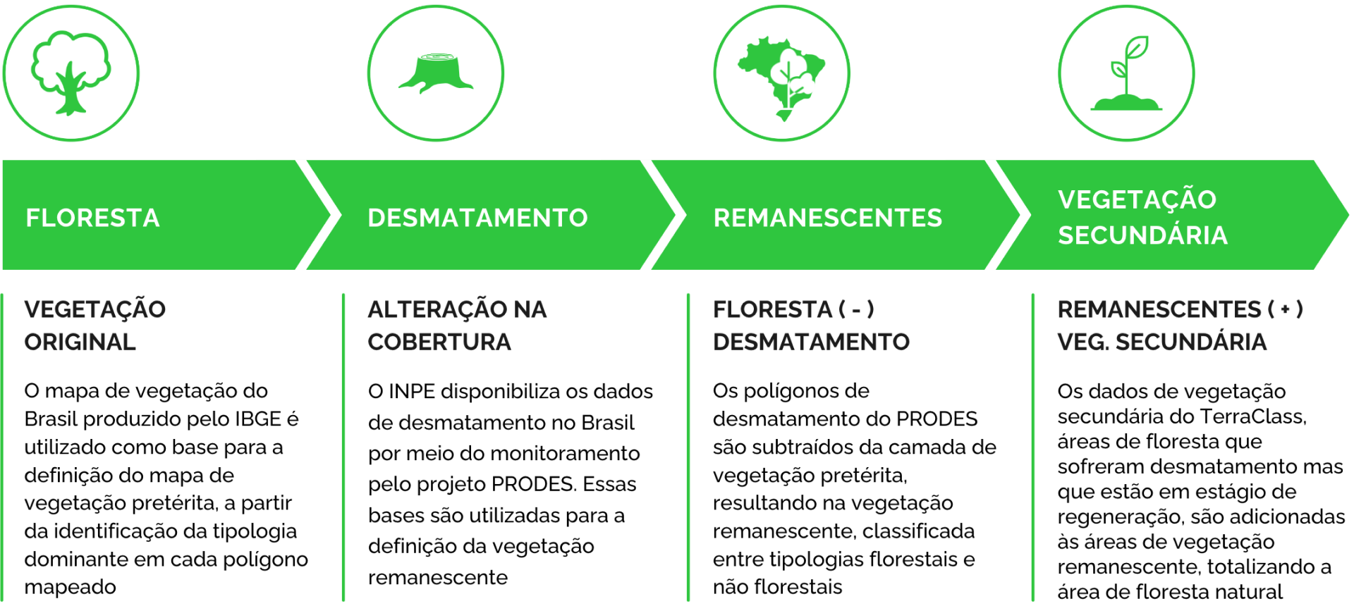 Fluxograma do geoprocessamento realizado pelo Serviço Florestal Brasileiro para estimar a área de floresta do Brasil