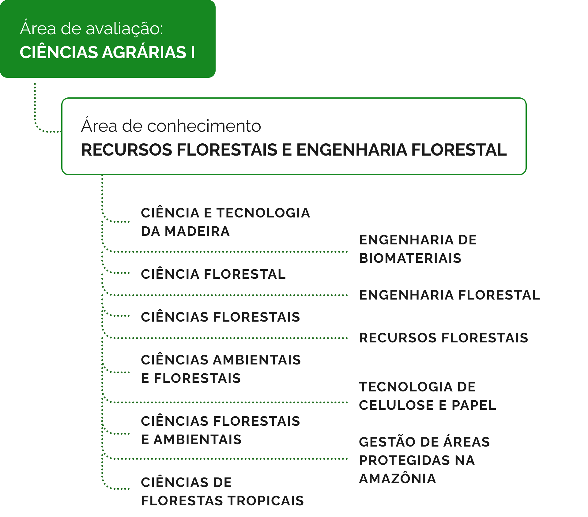 Cursos de pós-graduação vinculados à área de Recursos Florestais e Engenharia Florestal