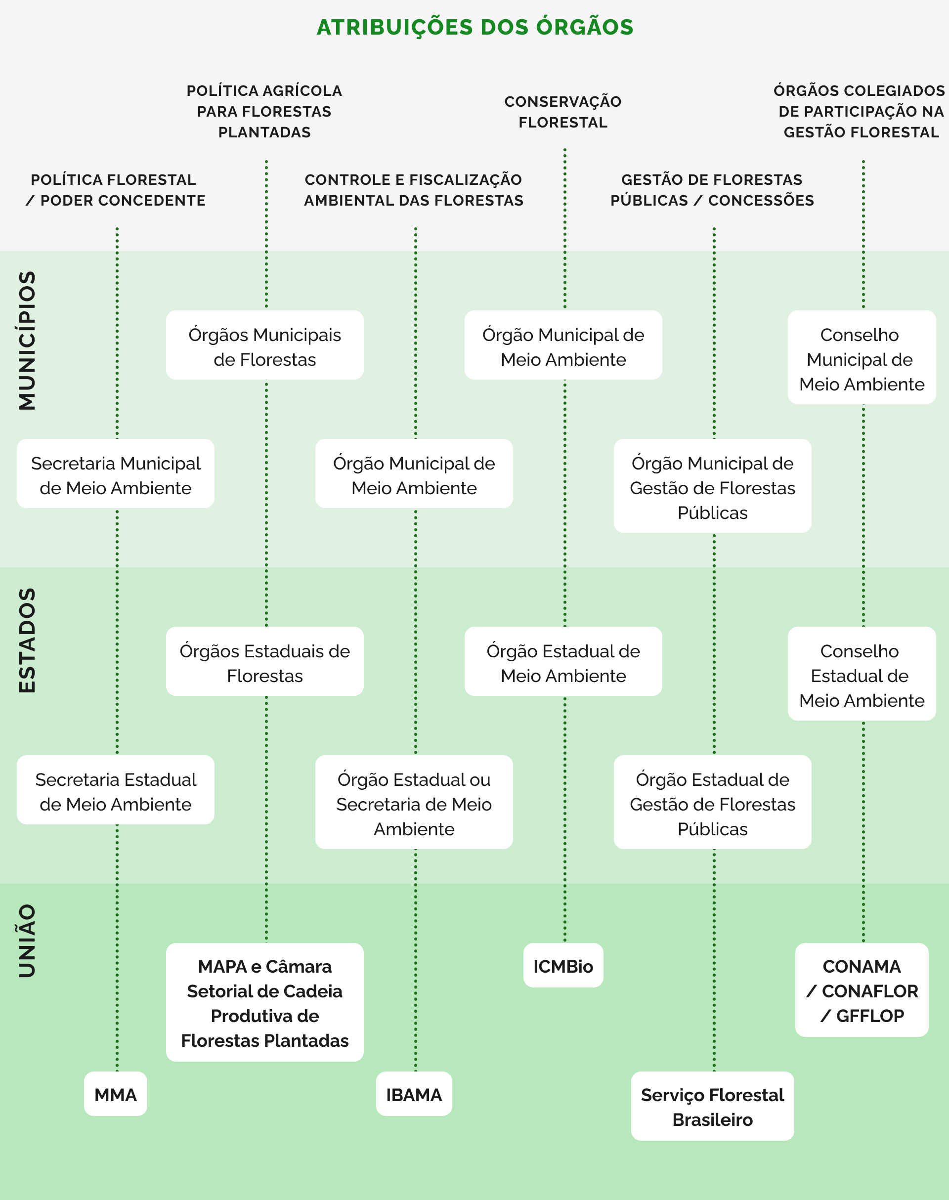 Organograma funcional da gestão florestal nas diversas esferas de governo